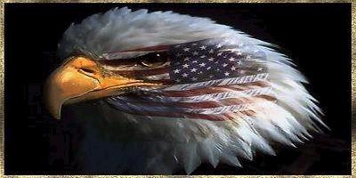 US Constitution 4th Amendment