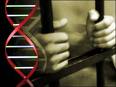 The Innocence Project